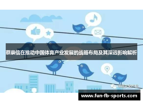 蔡崇信在推动中国体育产业发展的战略布局及其深远影响解析