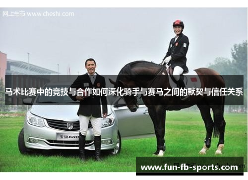 马术比赛中的竞技与合作如何深化骑手与赛马之间的默契与信任关系